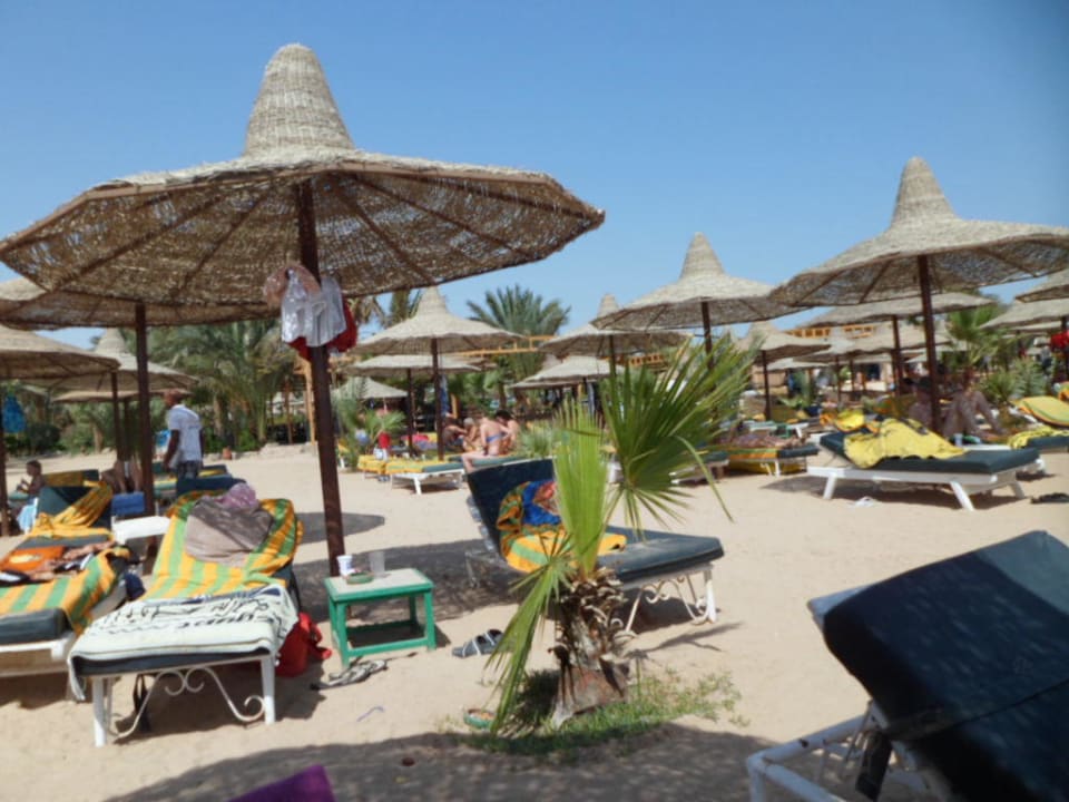 Hoteleigener Strand/Liegen inkl.Badetücher Giftun Azur Resort