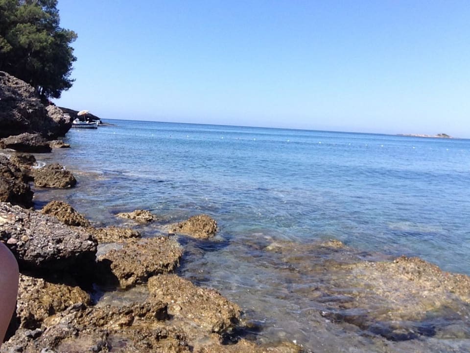 Strand Sealife Buket Resort & Beach