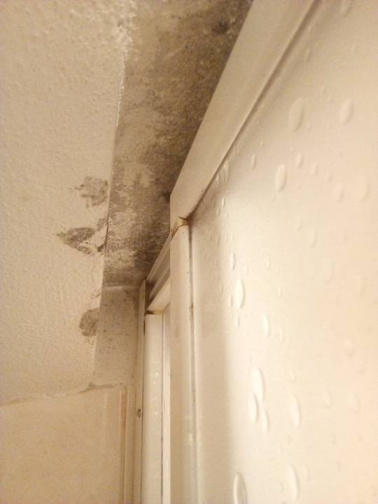 Zimmer Penzion U Chodskeho Hradu