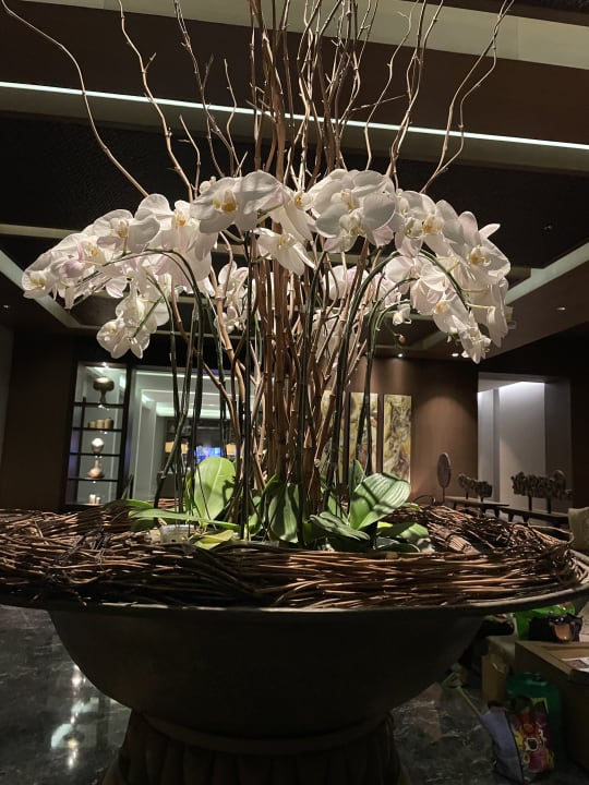 Lobby The Anvaya Beach Resorts Bali