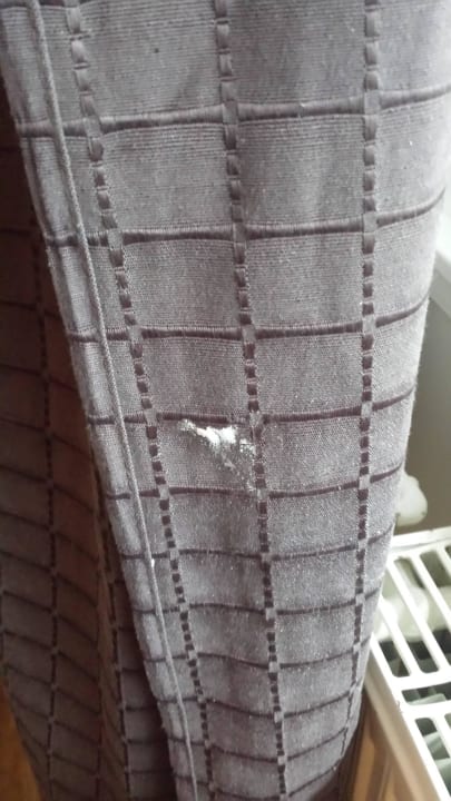 Klebrige Flecken an Gardine  Ferienwohnungen Ferienpark Weissenhäuser Strand