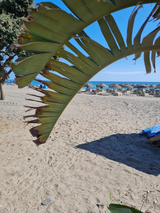 Strand Iberostar Waves Málaga Playa