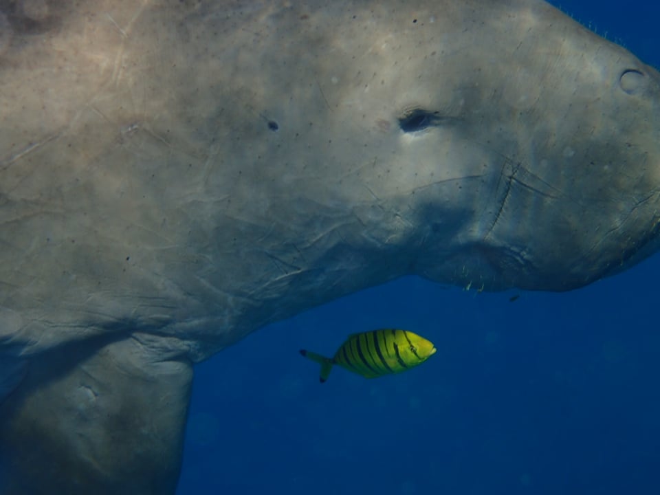 Strand Three Corners Equinox Beach Resort