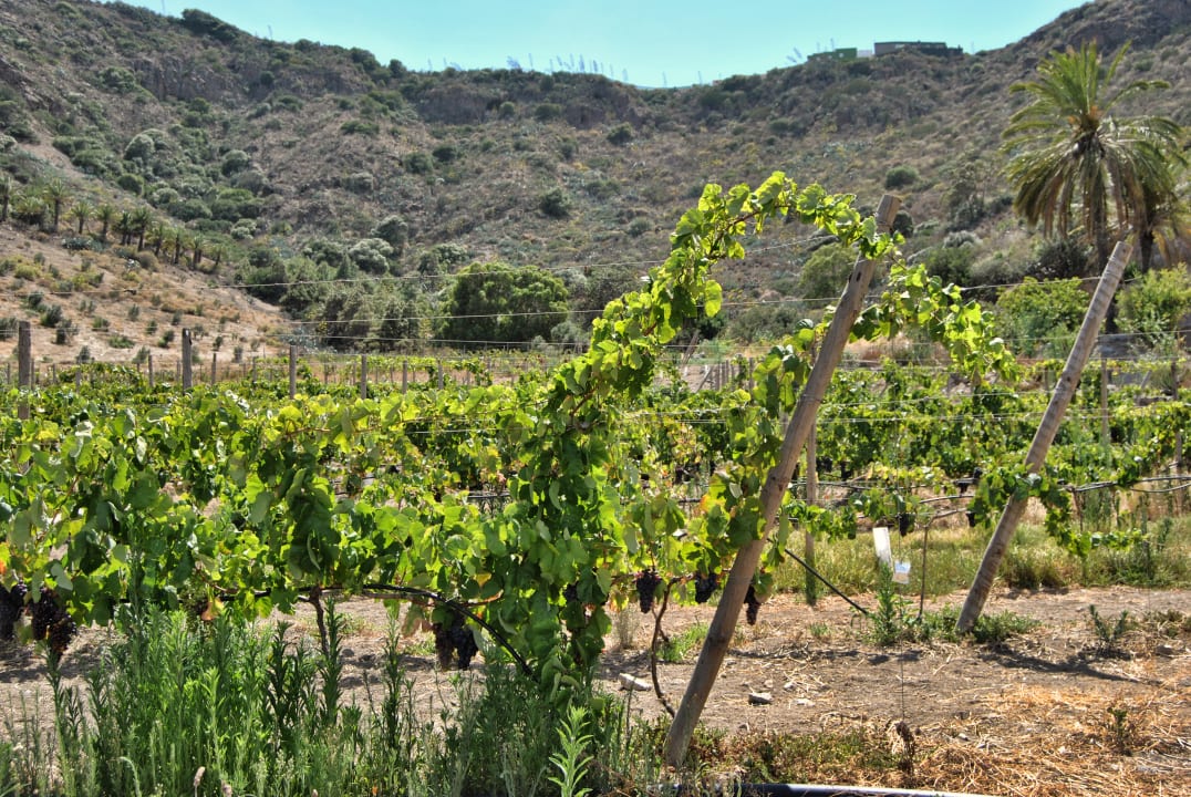 Gartenanlage Hotel Rural El Mondalón
