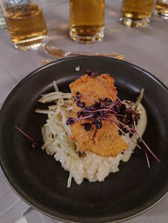 Gastro Hotel Zum Stern