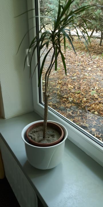 Ausblick Ferien Hotel Bad Malente