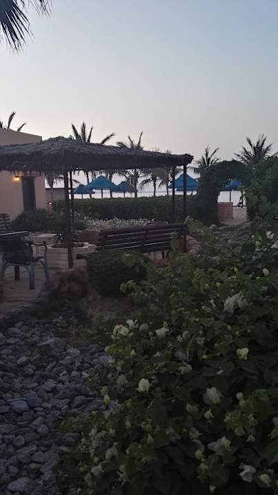 Gartenanlage BM Beach Resort