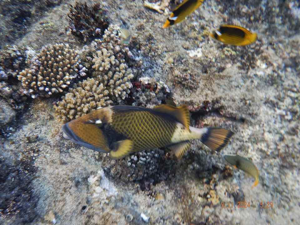 Strand Casa Mare Resort