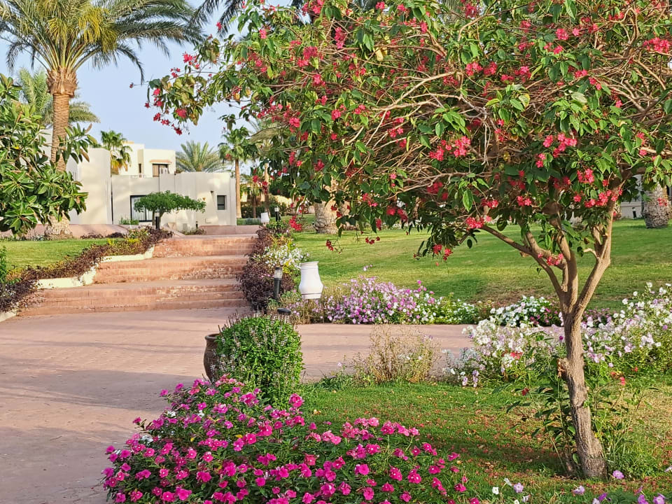 Gartenanlage Pharaoh Azur Resort