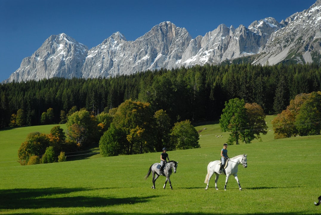 Reiten Hotel zum jungen Römer