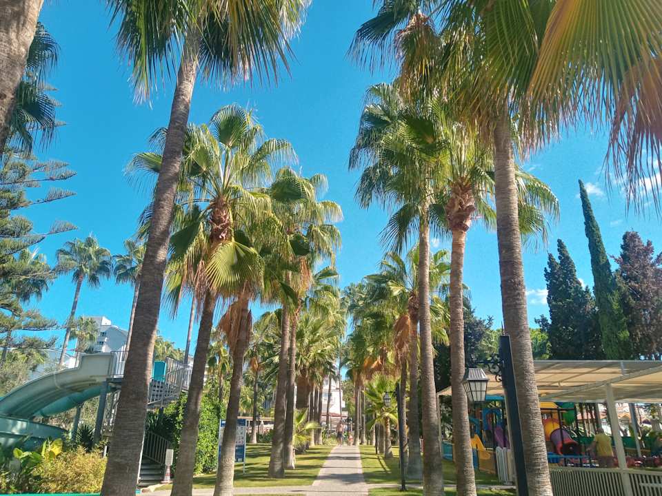 Gartenanlage Iz Flower Side Beach Hotel