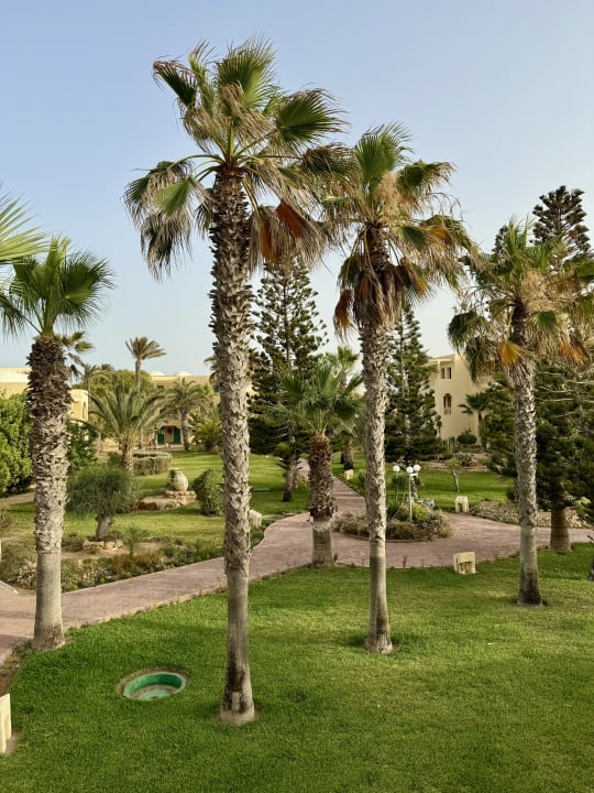 Gartenanlage Aldiana Club Djerba Atlantide