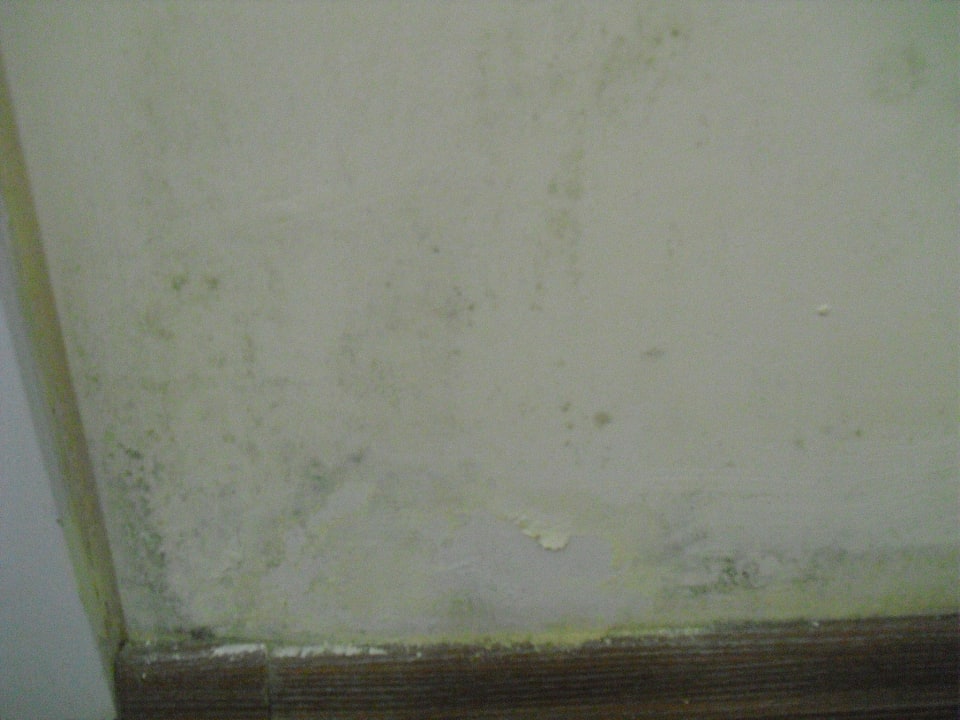Schimmel im Zimmer Acar Hotel