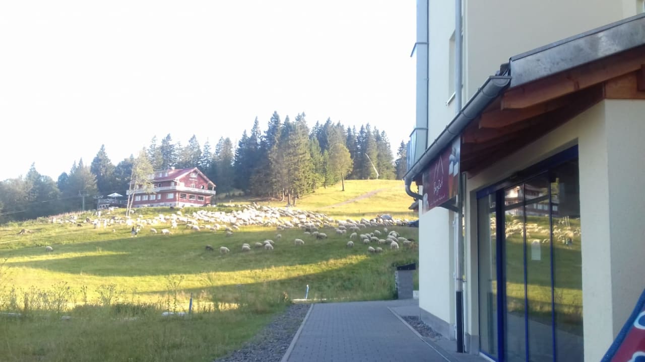 Sonstiges Residenz Grafenmatt Feldberg