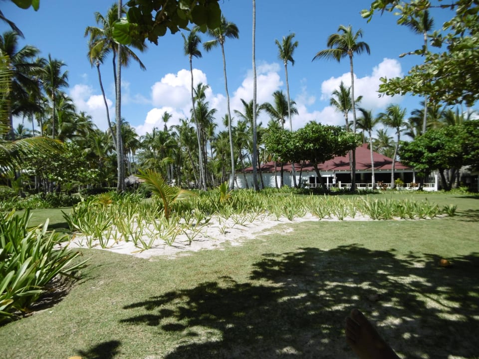 Das Arrescife von userem Platz aus Grand Palladium Punta Cana Resort & Spa