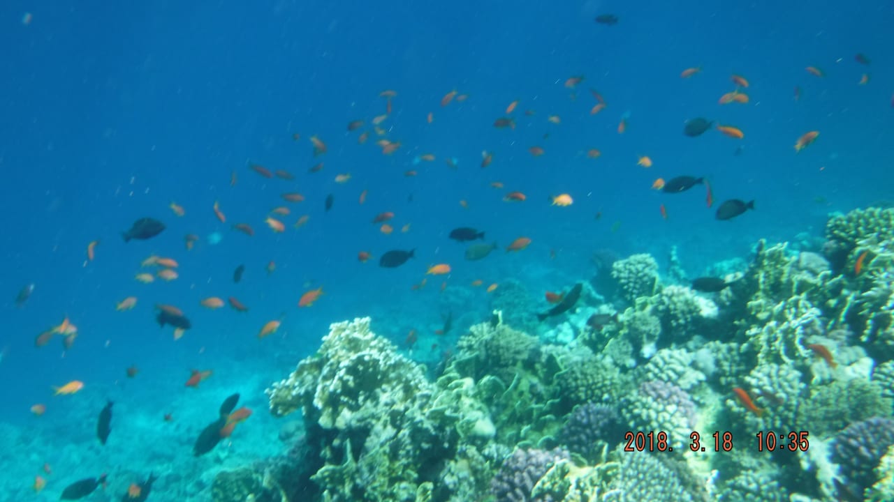 Strand Serenity Alpha Beach