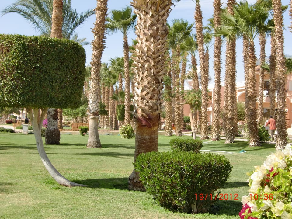 Garten Beach Albatros Resort