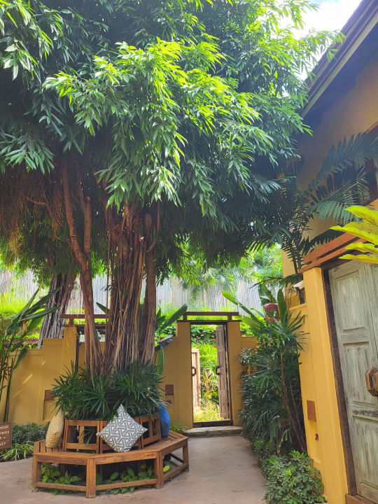 Sonstiges Buri Rasa Village Samui Adults Only Resort