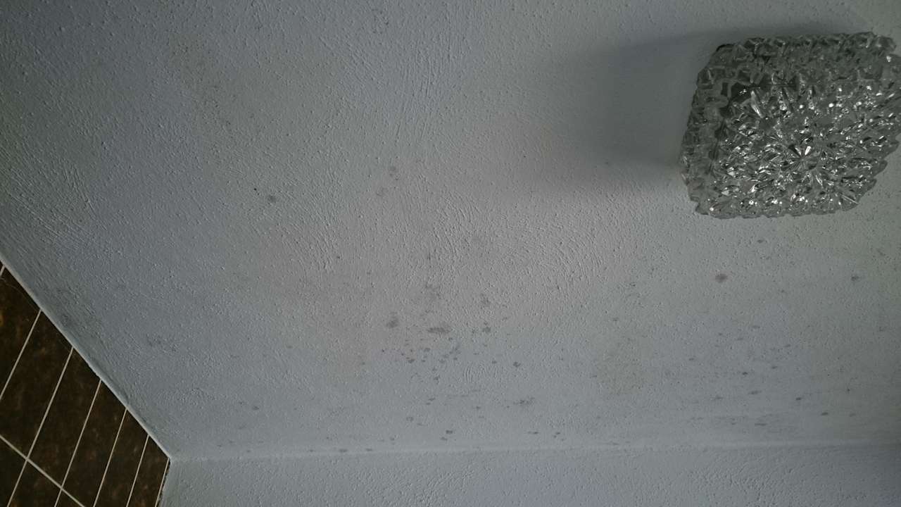 Schimmel Decke Bad Gasthof-Hotel Krone