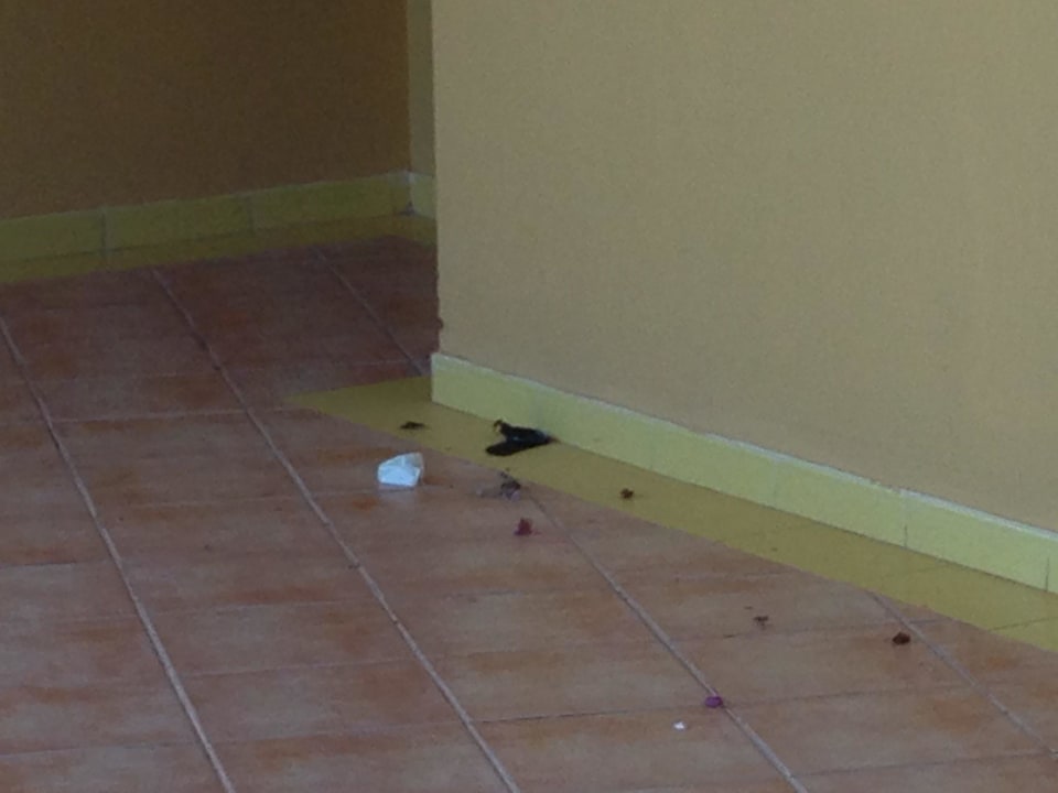 Keine Reinigung in Hotelgängen Club Hotel Drago Park