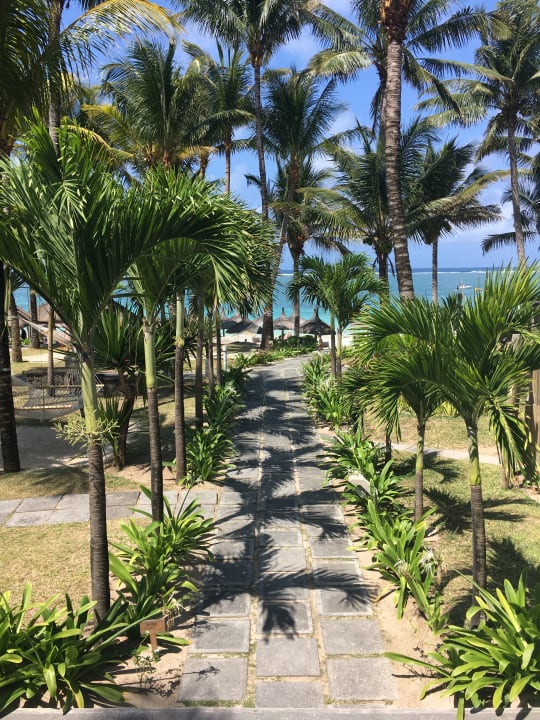 Gartenanlage Veranda Palmar Beach Hotel
