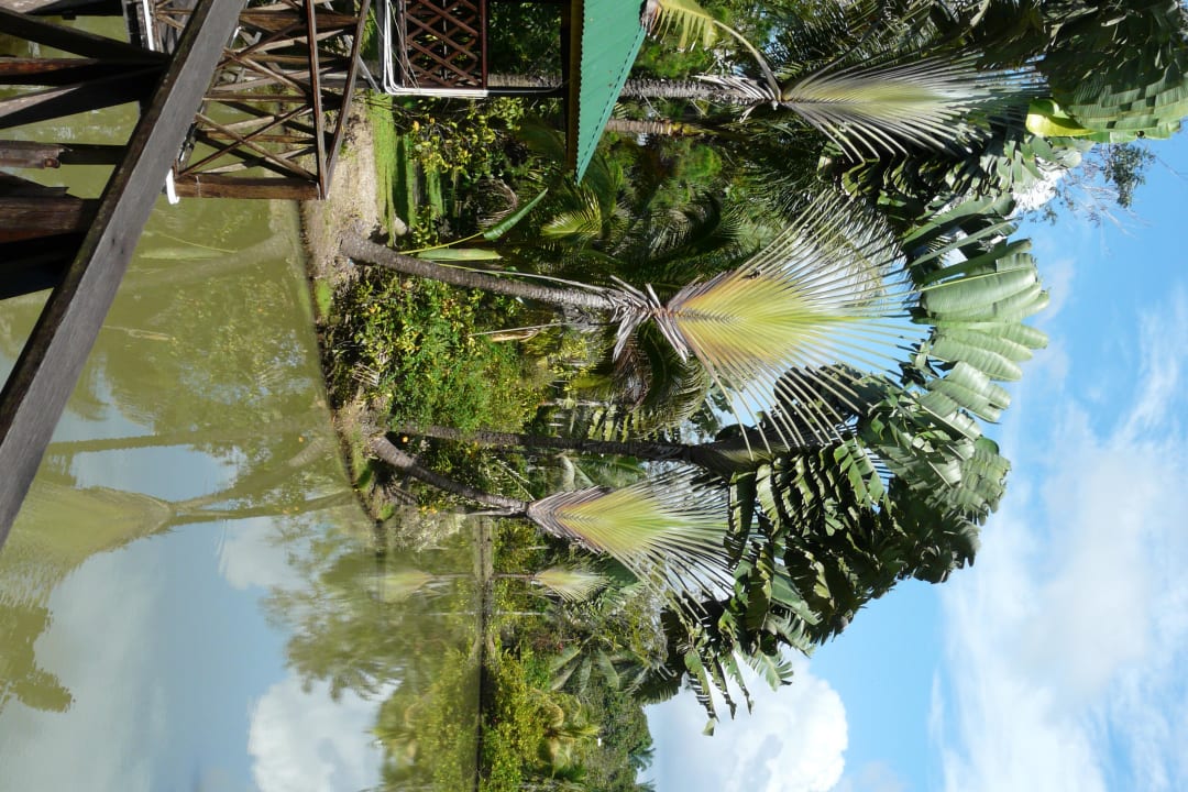 Gartenanlage Sepilok Jungle Resort