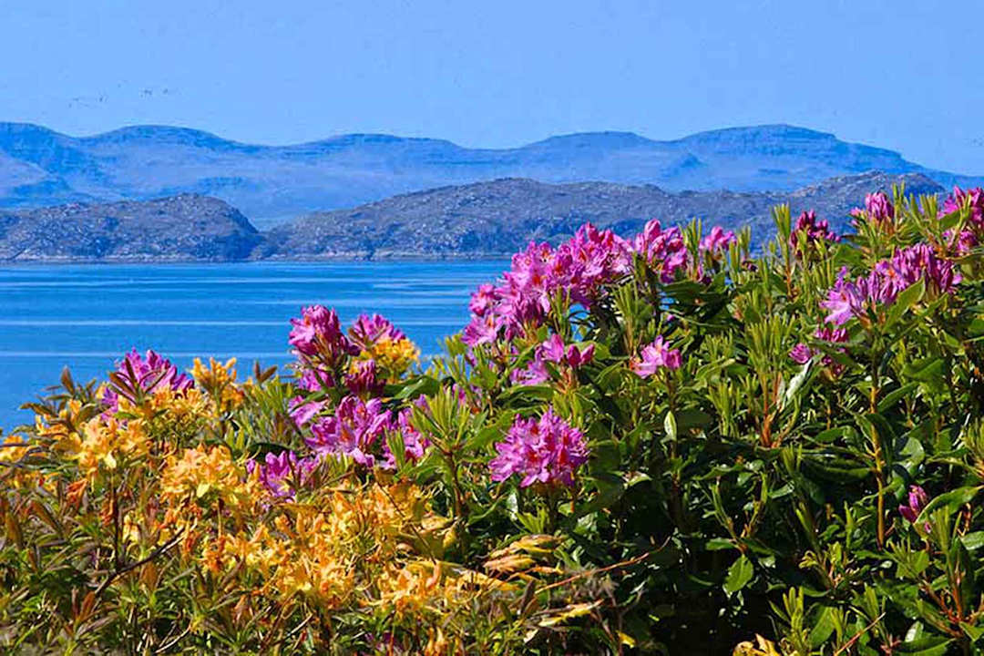 Außenansicht Airdaniar Cottage