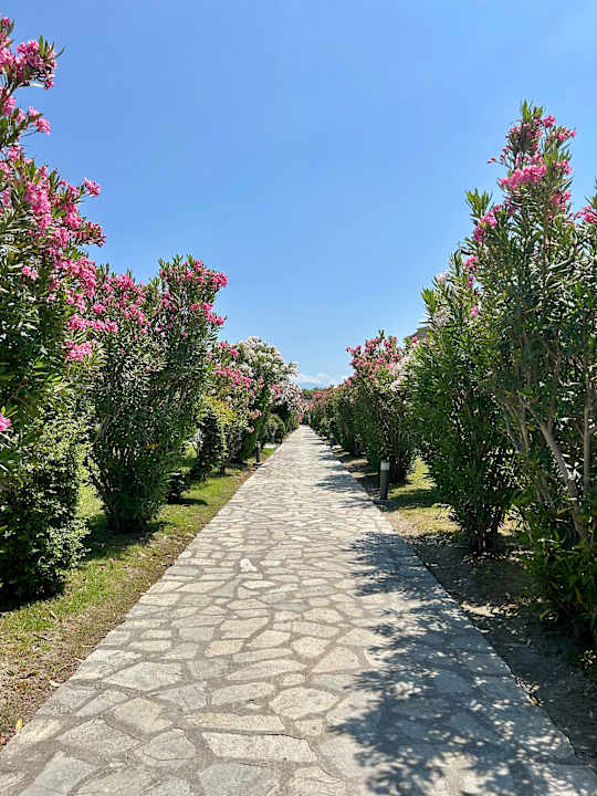 Gartenanlage alltoura Club Hotel Poseidon Palace