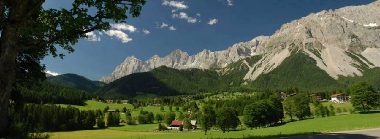 Alpenhaus birkhahn Alpenhaus Birkhahn