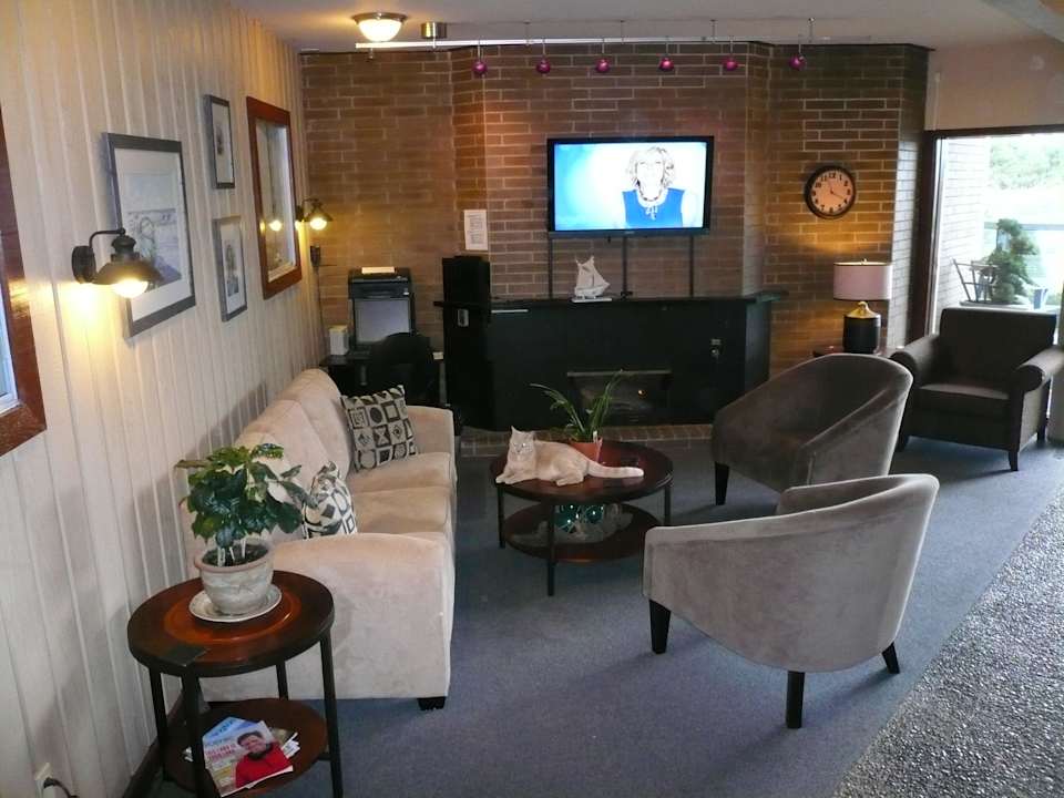 Lobby mit Hauskatze  Hotel The Grey Gull