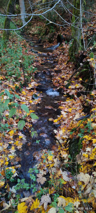 Ausblick Berghotel Hoher Knochen