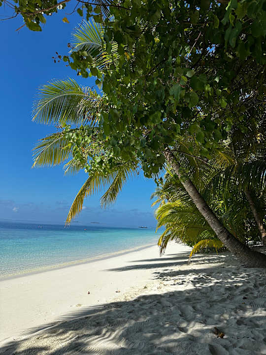 Außenansicht Vilamendhoo Island Resort & Spa