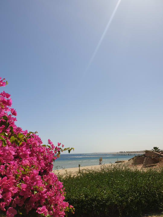 Strand Three Corners Equinox Beach Resort