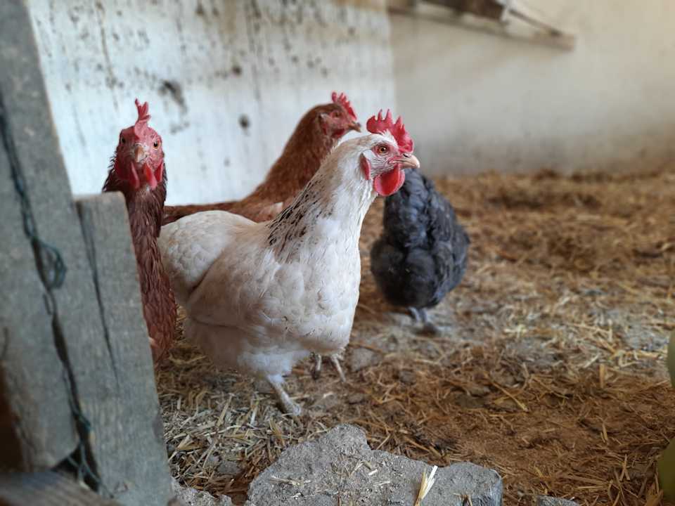 Sonstiges Simmernhof