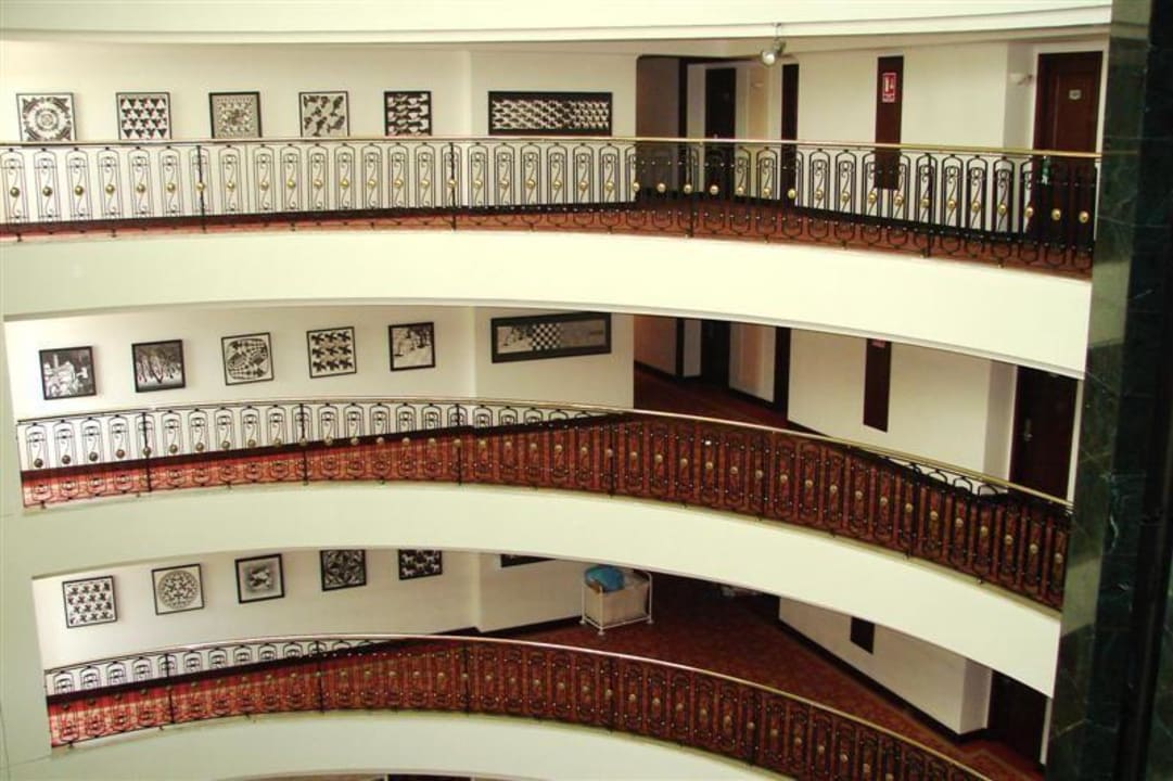 Galerie Papillon Ayscha