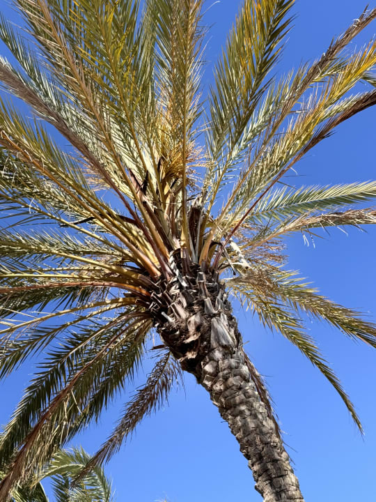 Sonstiges ROBINSON QUINTA DA RIA