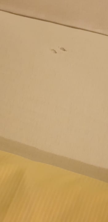 Zimmer Heidekönig Hotel Celle