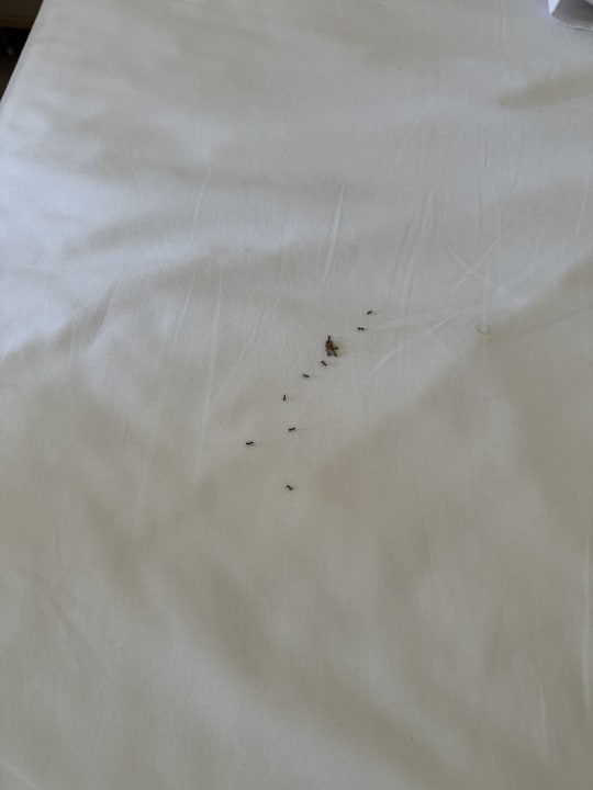 Zimmer VONRESORT Golden Beach