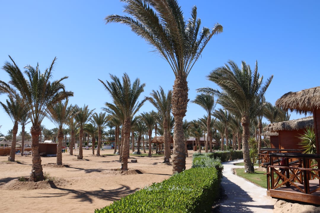 Strand Stella Garden Resort & Spa, Makadi Bay