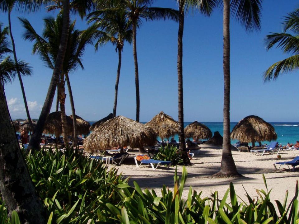 Strand Royalton Splash Punta Cana