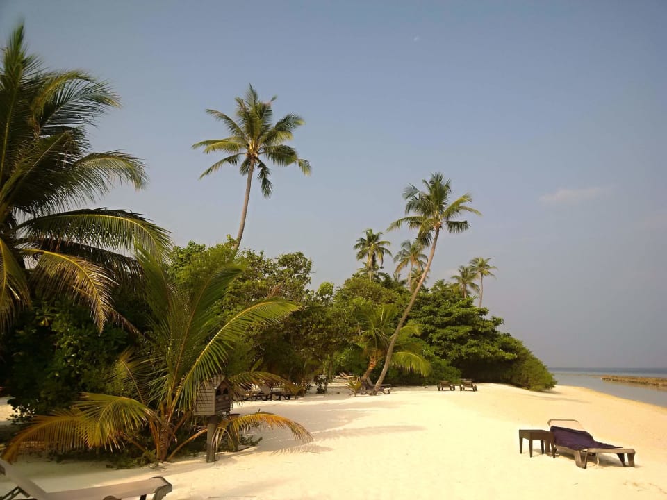 Strand Kuredu Island Resort & Spa