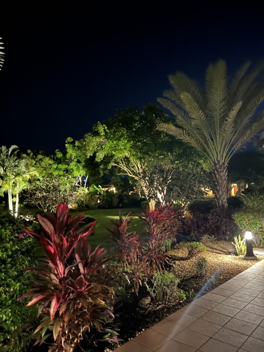 Gartenanlage Hotel Riu Palace Zanzibar