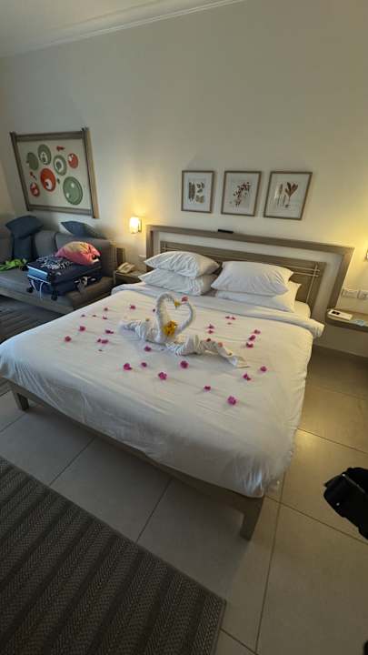 Zimmer Iberotel Casa Del Mar Resort