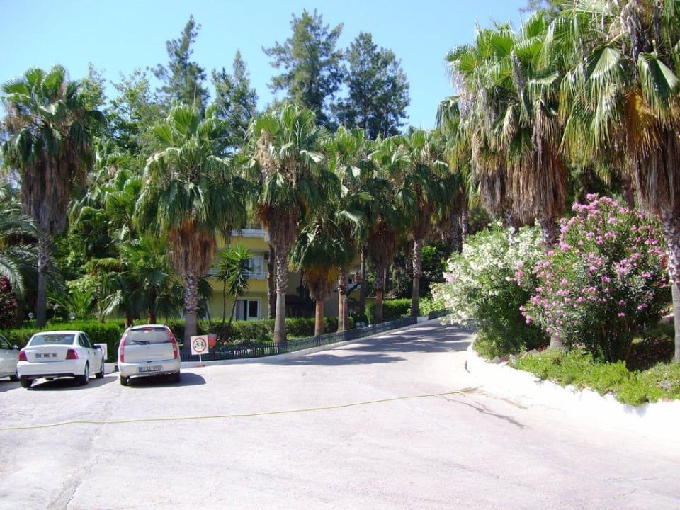 Hotel Sidelya Club Club Sidelya Hotel