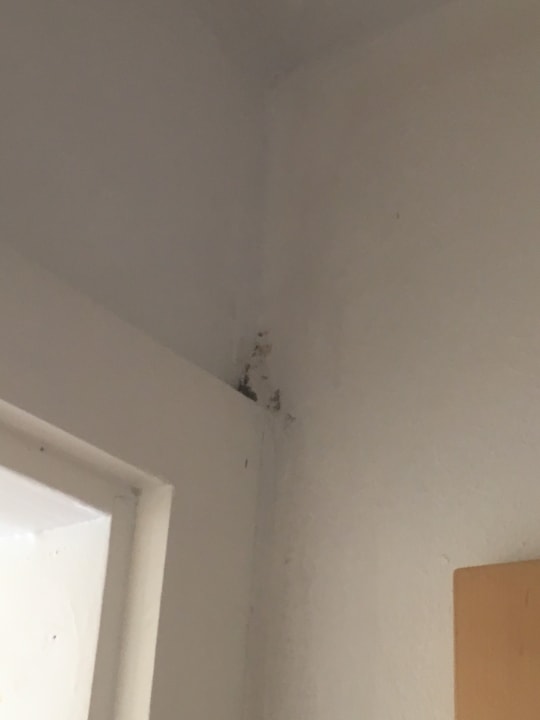 Zimmer Sonnenhotel Zaubek