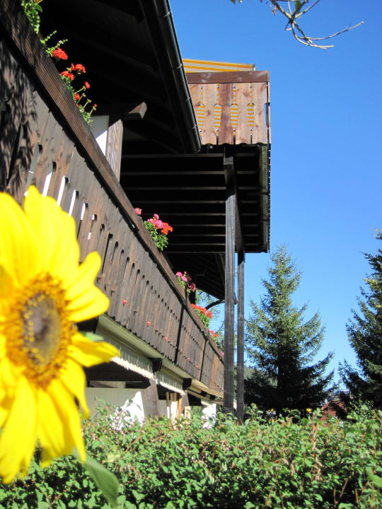 Südfront des Hauses Apartments Schwarzwaldblick