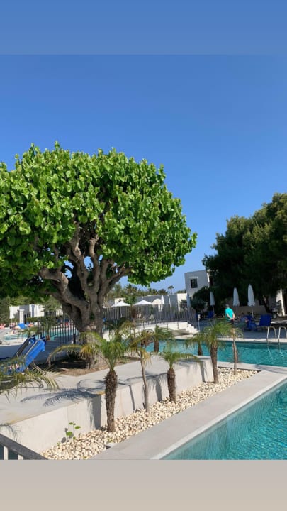 Gartenanlage Caravia Beach Hotel