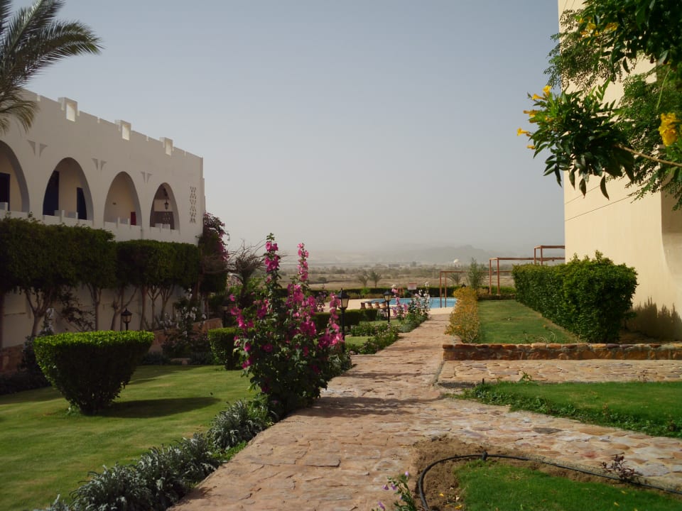 Gartenanlage Three Corners Equinox Beach Resort