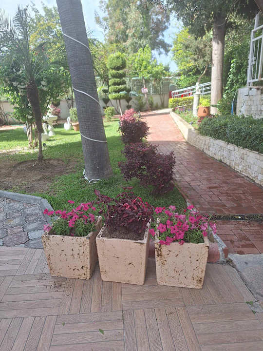 Pool Merve Sun Hotel & Spa