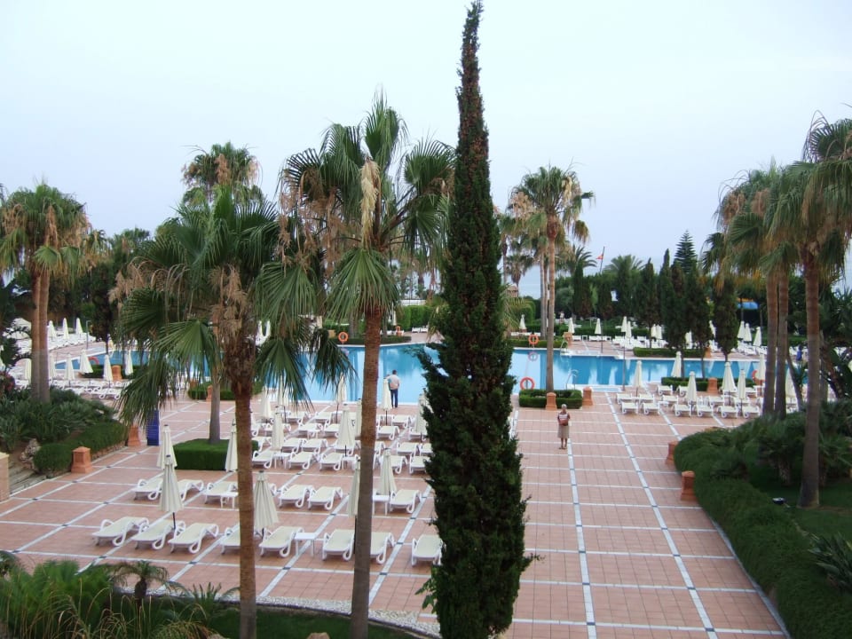 Pool & Liegen Iberostar Waves Málaga Playa